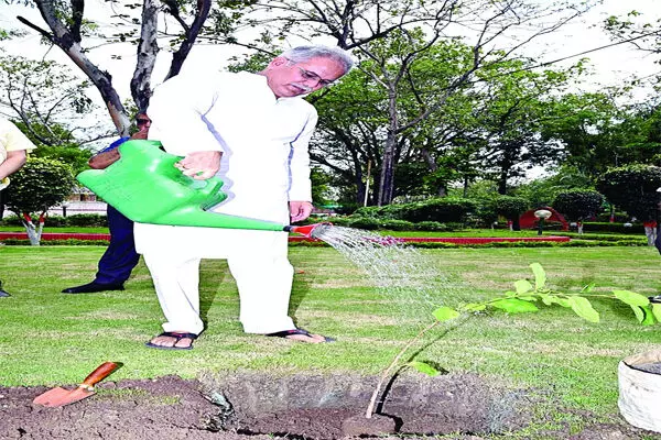 वन-पर्यावरण पर बड़ी पहल