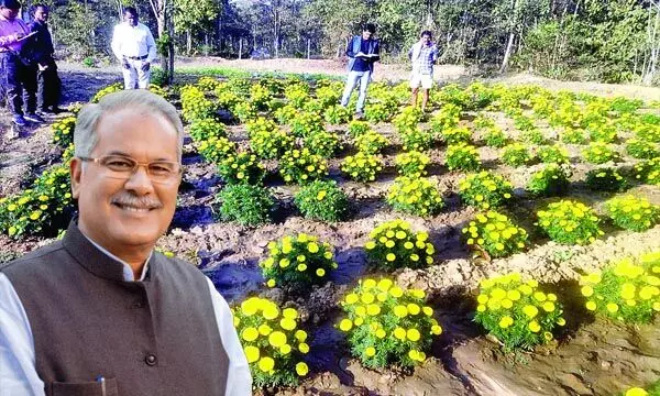 फूल-सब्जियों से महकी महिलाओं की जिंदगी