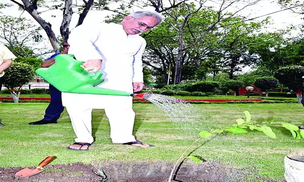 वन-पर्यावरण पर बड़ी पहल