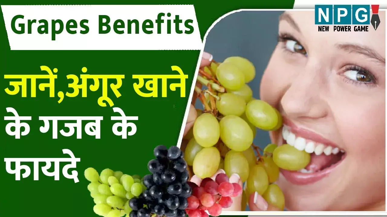 Grapes Benefits: गर्मी में अंगूर खाने के गजब के फायदे, सिरदर्द, अनिंद्रा से लेकर कैंसर तक से लड़ने में उपयोगी, जानिए इसके और फायदे...