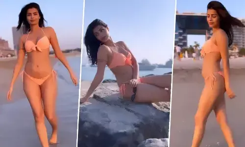 Sonali Raut ने हॉट बिकिनी पहन शेयर किया मदहोश करने वाला फोटो, कर्वी फिगर देख फैंस का छूटा पसीना, देखें वीडियो