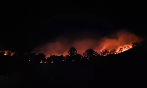 छत्तीसगढ़ के इको लैब में आग की लपटें : भैरव पहाड़ में 24 घंटे से भी ज्यादा समय से धधक रही आग, लाखों पेड़-पौधे झुलसे, सवालों के घेरे में महकमा