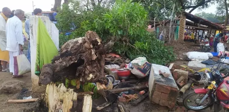 बड़ी खबर : आंधी-तूफान में गिरा आम का पेड़, साप्ताहिक बाजार में चना-मुर्रा बेच रहे पति-पत्नी की मौत