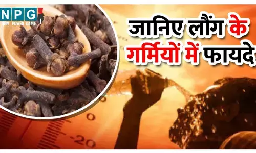 Laung Ke Garmi Me Fayade: हर समस्या का है इसमें समाधान, जानिए गर्मियों में इस्तेमाल से कैसा होगा फायदा...