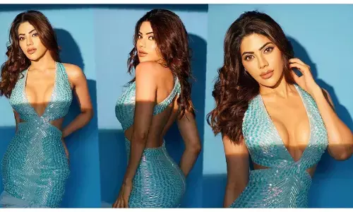 Nikki Tamboli: निक्की तंबोली ने अपने बोल्ड फोटोशूट से मचाई सनसनी, किलर लुक और हॉटनेस देख यूजर्स के छूटे पसीने...देखें फोटो-वीडियो...