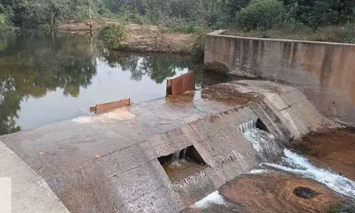 नरवा विकास कार्यों से हाथी प्रभावित वनक्षेत्रों में बढ़ी जल की उपलब्धता, मानव हाथी द्वंद में आई कमी