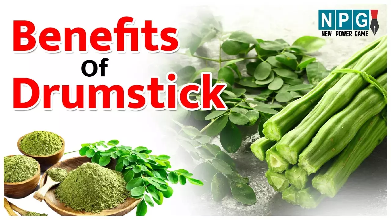 Benefits of drumstick: 300 से अधिक बीमारियों में राम बाण है सहजन, पत्तियों के पाउडर में दूध से 17 गुना अधिक होता है कैल्शियम, जाने इसके खास फायदे...
