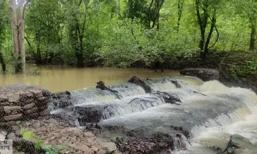 सीएम भूपेश के नरवा योजना का कमाल: दिसंबर में सूख जाने वाले नालों में भरी गरमी में भी हो रहा पानी का बहाव