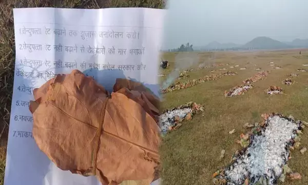 नक्सलियों ने तेंदूपत्ते के ढेर में लगाई आग, बड़ा नुकसान, कीमत बढ़ाने परचा भी छोड़कर गए