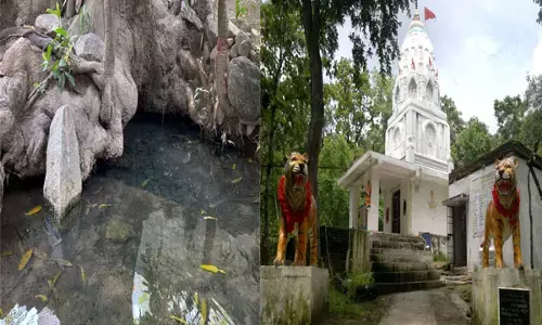 छत्तीसगढ़ के इस मंदिर में निःसंतान महिलाओं की मनोकामना होती है पूरी... पेड़ की जड़ से निकली जलधारा ...