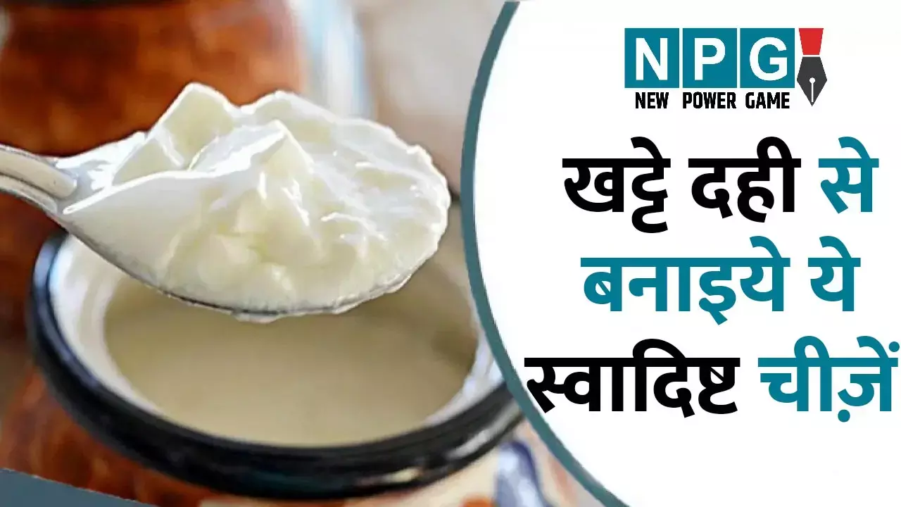 Sour Curd Uses: दही हो गया है ज़्यादा खट्टा तो फेंक मत दीजियेगा, खट्टे दही से बनाइये ये स्वादिष्ट चीज़ें...