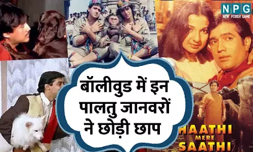 Bollywood Ka Animal Love: जानिए बॉलीवुड के उन फिल्मों के नाम, जिनमें कलाकारों से ज्यादा पालतु जानवरों ने छोड़ी छाप...