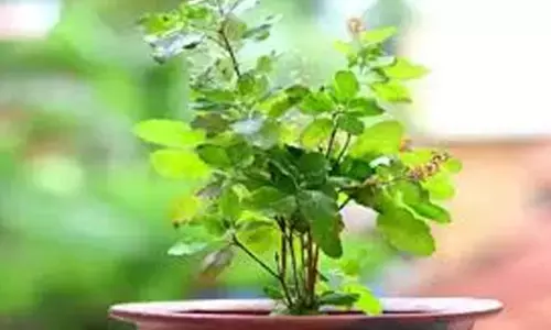 Mantra ka Chamtkar  मंत्र का चमत्कार :  धन, वैभव और सुख-समृद्धि के लिए कारगर है ये मंत्र, रोज की पूजा में जरूर करें जाप