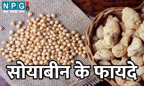 Soyabean Ke Fayade: सोयाबीन के सेवन से फायदों के साथ नुकसान भी, यौन क्षमता प्रभावित...