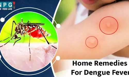 Home Remedies For Dengue Fever : डेंगू से फास्ट रिकवरी के लिए अपनाइये ये बेजोड़ घरेलू नुस्खे...