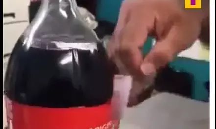 Video: कोल्ड ड्रिंक की बोलत में छिपा कर कैसे जेल में पहुंचाया जाता है मोबाइल, तेजी से वायरल हो रहा यह वीडियो