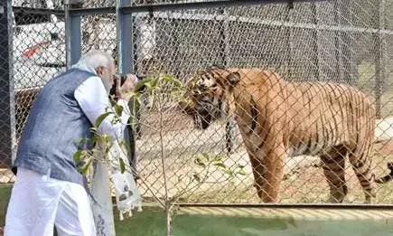 PM Narendra Modi Visit in Chhattisgarh: जानिए प्रधानमंत्री बनने के बाद कब- कब छत्‍तीसगढ़ आए हैं मोदी,  कैसे यादगार रही उनकी हर बार की यात्रा