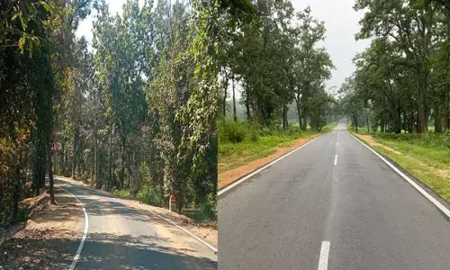 भूपेश सरकार में बीते साढ़े चार वर्षों में सड़कें-पुलों के 7 हजार 406 कार्यों के लिए 16 हजार 670 करोड़ की स्वीकृति...