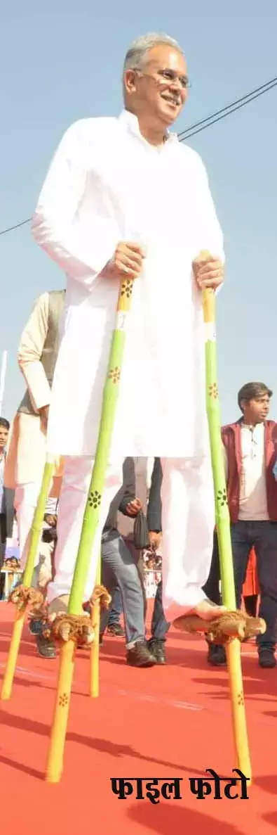 इस बार हरेली में गेड़ी बेचेगी सरकार, वन विभाग के कार्यालयों और सी-मार्ट के जरिये होगी बिक्री