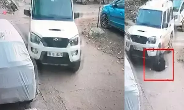 Bilaspur News: कुत्ते के साथ हैवानियत: सड़क पर बैठे कुत्ते पर चढ़ाई स्कार्पियो,  CCTV आया सामने