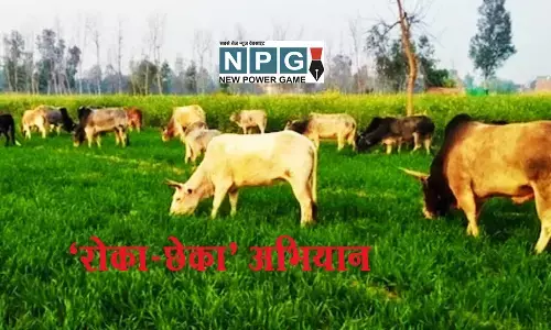 रोका-छेका: छत्‍तीसगढ़ में शहर से लेकर गांवों तक 6 से 17 जुलाई तक चलेगा ‘रोका-छेका’ अभियान, सीएम भूपेश ने की अपील, जानिए क्‍या है मामला