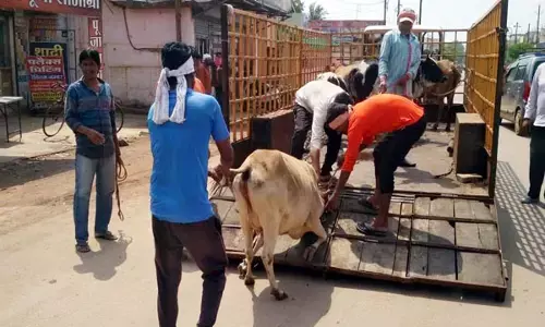 CG-कृषि विभाग ने सभी कलेक्टरों को जारी किए निर्देश, ग्राम स्तर पर रोका-छेका अभियान का होगा आयोजन