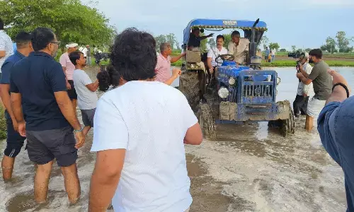 Gandhi News: राहुल गांधी ने की धान की रोपाई, ट्रैक्टर से खेत की जुताई की, फिर ये हुआ