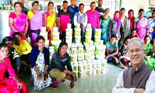 छत्तीसगढ़ की महिला उद्यमियों को सरकार ने लगाया हौसलों का पंख शरबत, दूध मलाई, तेंदू का बना रही टेस्टी आइसक्रीम