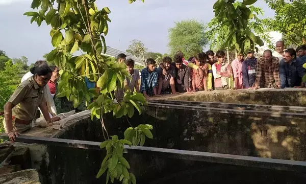 छत्तीसगढ़ में बड़ा हादसा: कुएं में गिरकर दो सगे भाई-बहन सहित तीन बच्चों की मौत, पेड़ पर चढ़कर अमरूद तोड़ रहे थे सभी, कुएं में गिरे