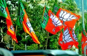 Chhattisgarh BJP: ये हैं भाजपा के 21 प्रत्‍याशी: इनमें एक कांग्रेस विधायक का साढ़ू भी, फोटो के साथ जानिए क्‍या है उनका बैकग्राउंड