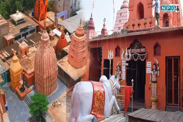 Hatkeshwar Mahadev: रायपुर का ये मंदिर 600 साल पुराना, एक लोटा जल से भक्तों के होते हैं कष्ट दूर... जानें क्या हैं मान्यताएं?