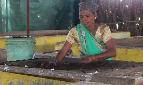 GO dhan nyay yojana: स्वावलम्बी गोठान ने बदली निलजा गांव की जीवनदशा, महिलाओं में जागा आत्मविश्वास, हुई गौरवान्वित