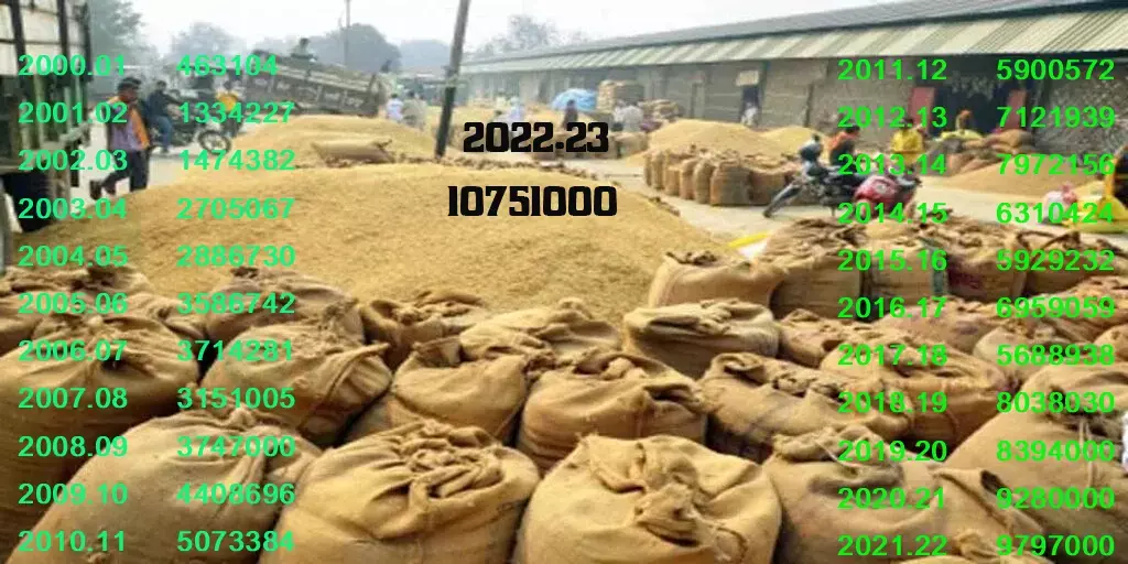 Paddy in Chhattisgarh: छत्‍तीसगढ़ में चुनावी साल में रिकार्ड तोड़ धान खरीदी की तैयारी, जानिए इस बार किसानों के लिए सरकार कितना लेगी कर्ज