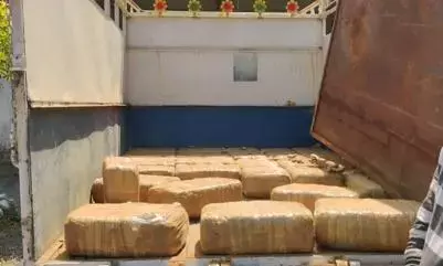 एक करोड़ का गांजा पकड़ाया, ओड़िशा से लोड कर छत्तीसगढ़ के रास्ते ले जाया जा रहा था मध्यप्रदेश, एक आरोपी गिरफ्तार