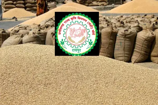 Chhattisgarh Mandi Tax: मंडी टैक्‍स में छूट की मियाद खत्‍म, शुल्‍क फिर लागू होते ही मंडी में गिरा धान का भाव