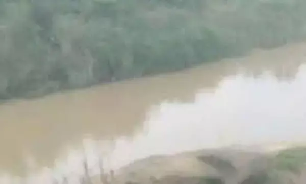 Korba News-मैना पकड़ने निकला स्कूली छात्र नाले में बहा, दोस्तों ने चॉकलेट के लालच में बताई घटना की सच्चाई...