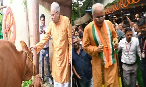 Photo: CM हॉउस में जन्मी बछिया, हरेली तिहार पर मुख्यमंत्री भूपेश ने की पूजा-अर्चना की...गेड़ी पर चढ़कर सरपट चले...