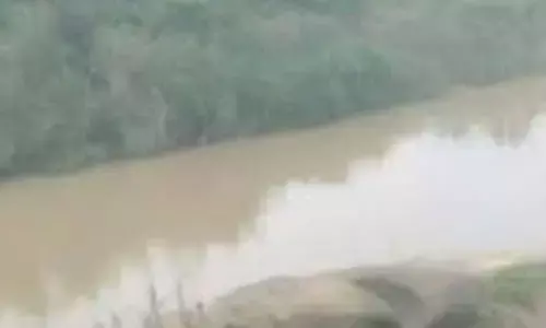 Korba News-मैना पकड़ने निकला स्कूली छात्र नाले में बहा, दोस्तों ने चॉकलेट के लालच में बताई घटना की सच्चाई...