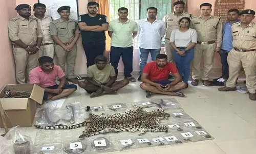 छत्तीसगढ़ बाघ खाल की तस्करी: गिरोह को पकड़ने में वन विभाग को मिली बड़ी कामयाबी, 39 आरोपियों को भेजा गया जेल