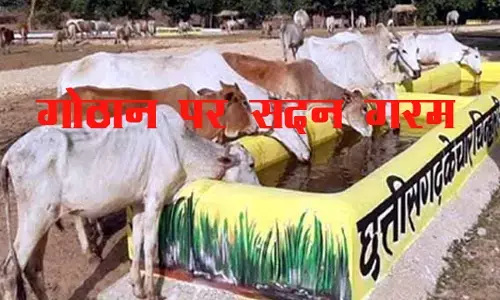 CG Assembly Monsoon Session गोबर को लेकर सदन में उलझे चंदेल और साहू  विपक्ष ने पूछा कहां गया 229 करोड़