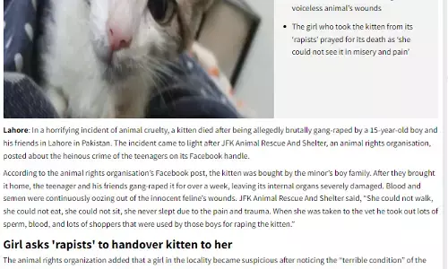 कुछ ऐसा है जो सिर्फ पाकिस्तान में ही देखा जा सकता है