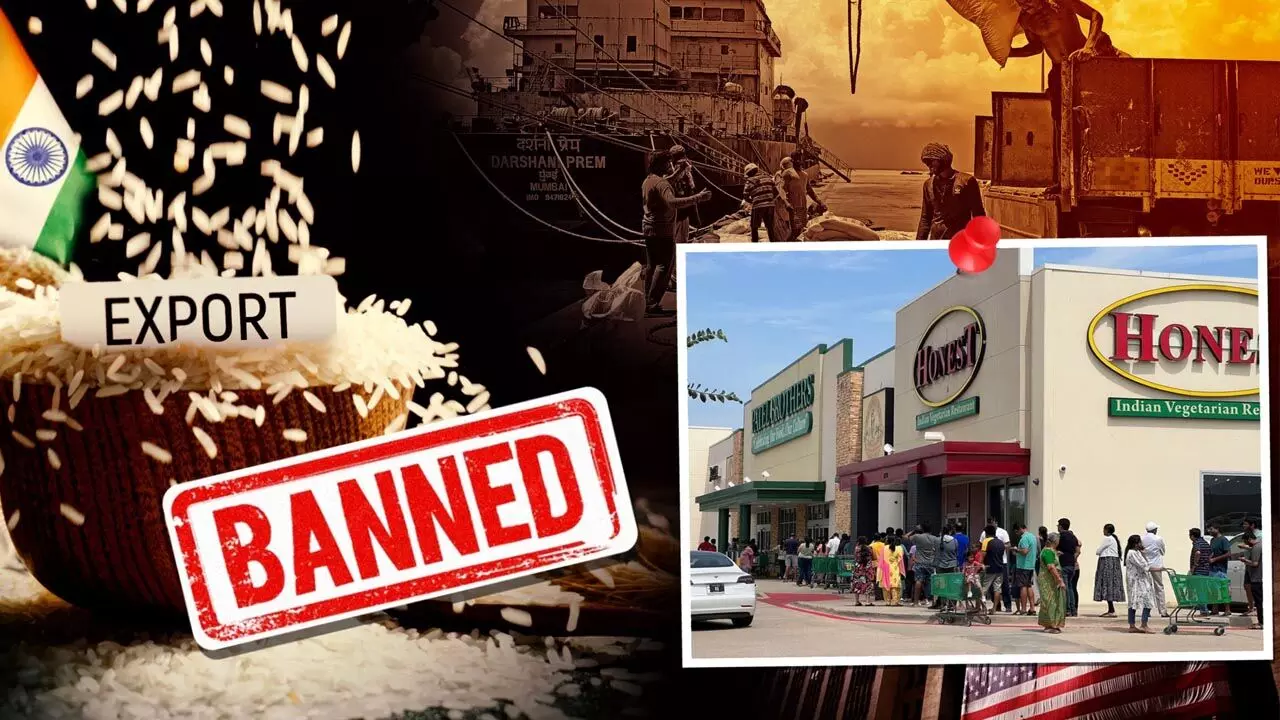 Rice Export Ban: सरकार ने गैर-बासमती चावल का निर्यात किया बैन, जानिए क्यों लिया गया ये फैसला Rice Export Ban: सरकार ने गैर-बासमती चावल का निर्यात किया बैन, जानिए क्यों लिया गया ये फैसला