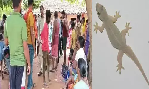 CG-बच्चे के मुंह में छिपकली घुसने से मौत, घटना के दौरान सोया हुआ था मासूम ...