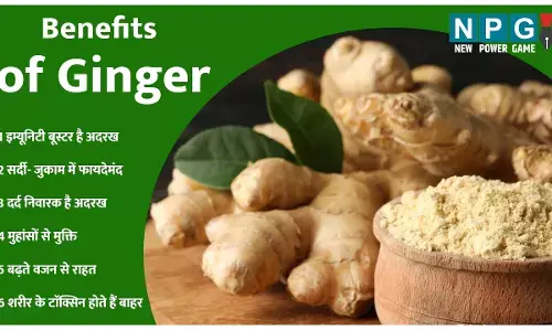 Benefits of Ginger : छोटा सा अदरख का टुकड़ा दिला सकता है बड़ी-बड़ी समस्याओं से राहत, जानिए अदरख की खूबियां