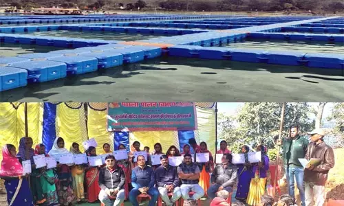 छत्तीसगढ़ में मछली पालन से 200 लोग बने आत्मनिर्भर, बढ़ा मछली का उत्पादन, मछुआ समूहों की आमदनी भी बढ़ी