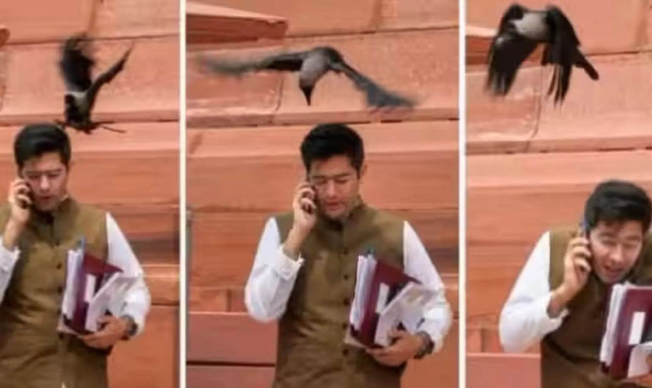 Raghav Chadha Crow Attack: राघव चड्ढा को चोंच मार गया कौआ, बीजेपी ने कसा तंज Raghav Chadha Crow Attack: राघव चड्ढा को चोंच मार गया कौआ, बीजेपी ने कसा तंज