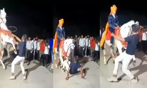 Horse Dance Viral Video: अरे बाबा आराम से...दूल्हे को बैठा घोड़े ने शख्स के साथ किया गजब का डांस, देखने वालों की फटी की फटी रह गई आंखें...