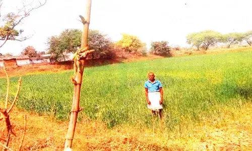 राज्य सरकार की योजनाओं से लाभान्वित हो रहे किसान, धान, गेहूं, अलसी, मसूर की खेती कर कमा रहे मुनाफा