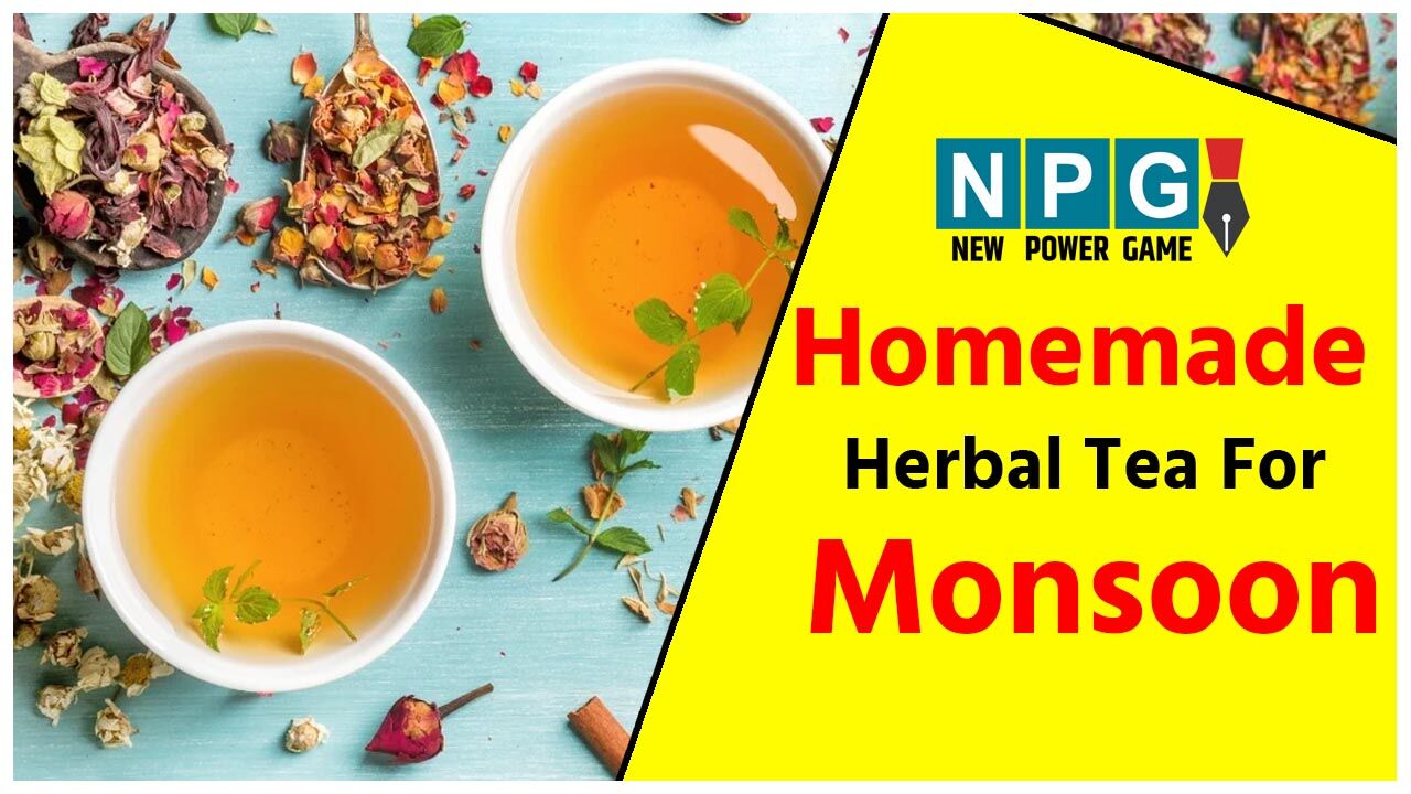 Homemade Herbal Tea For Monsoon घर पर इन तरीकों से बनाइए हर्बल टी