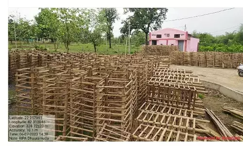 Bamboo Tree Guard: बांस के ट्री गार्ड से युवाओं को मिला स्व रोजगार, पौधे को पशुओं से सुरक्षित रखने के लिए ट्री गार्ड उपयोगी